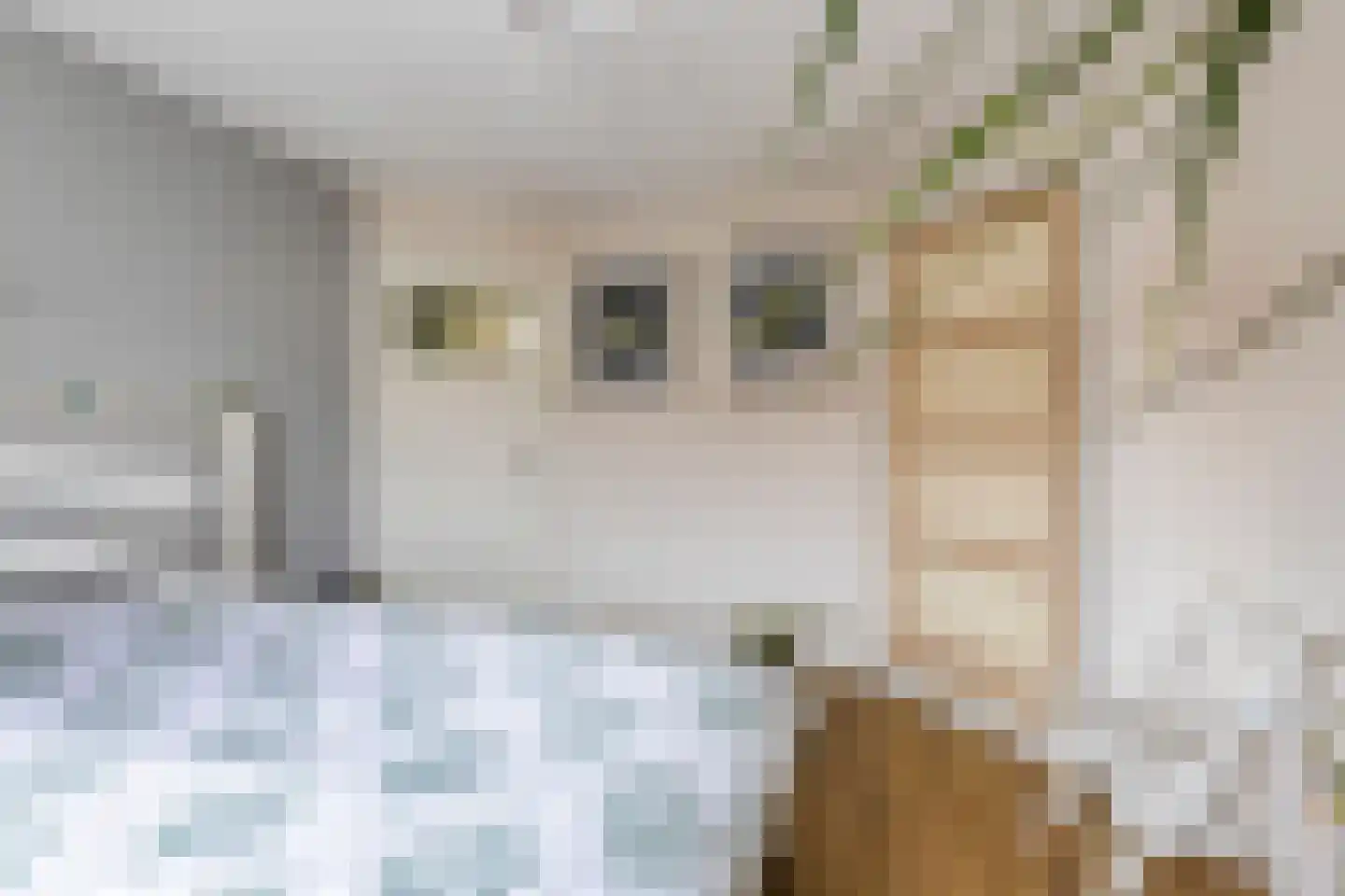 Ds. Jacobus Borstiusstraat 4 Zaandijk thumbnail 25