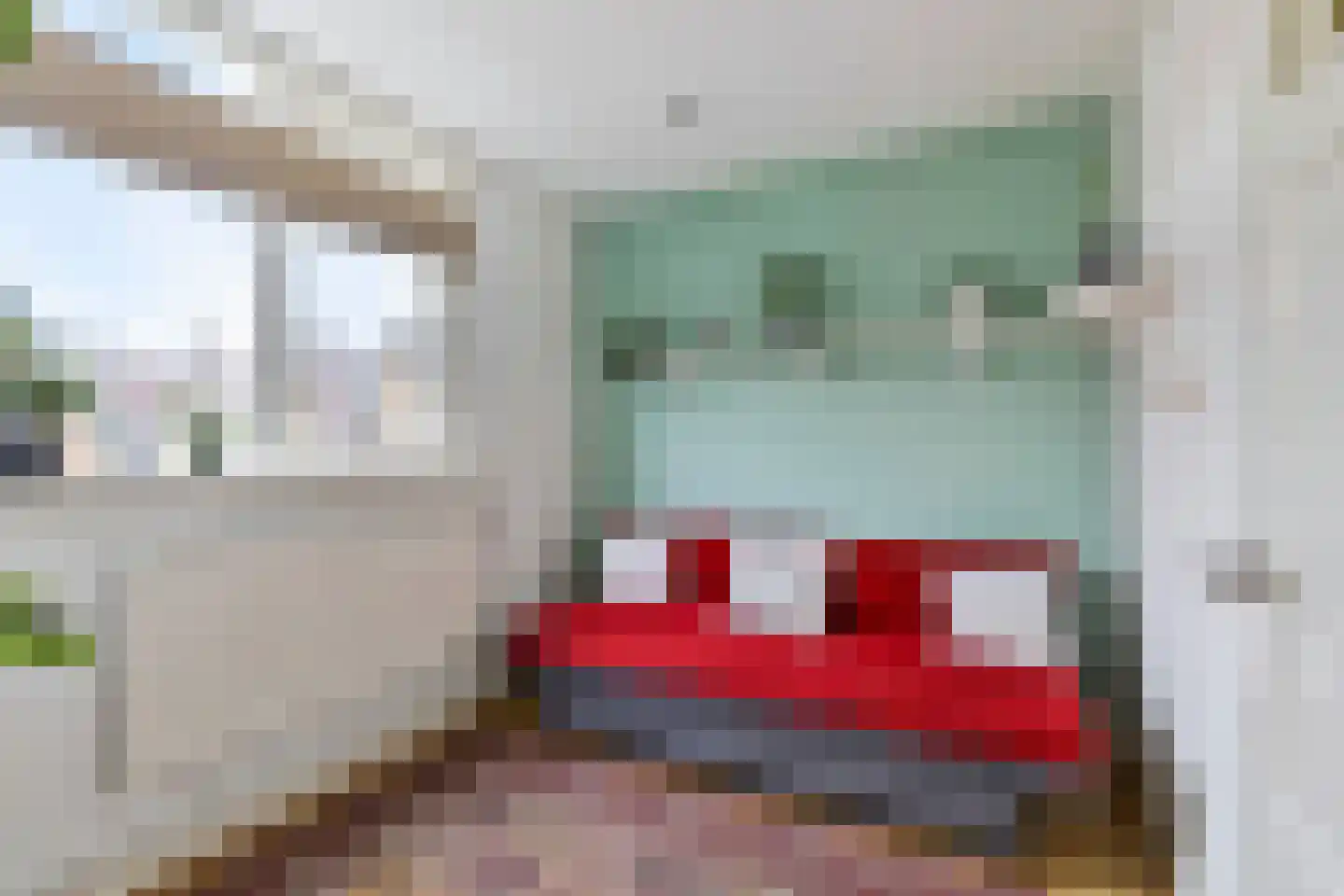Ds. Jacobus Borstiusstraat 4 Zaandijk thumbnail 26