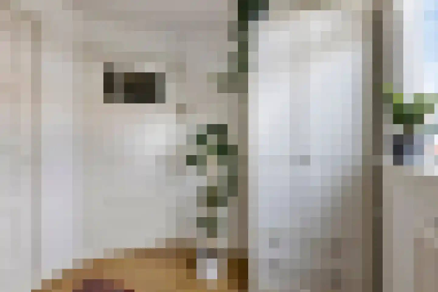 Ds. Jacobus Borstiusstraat 4 Zaandijk thumbnail 27