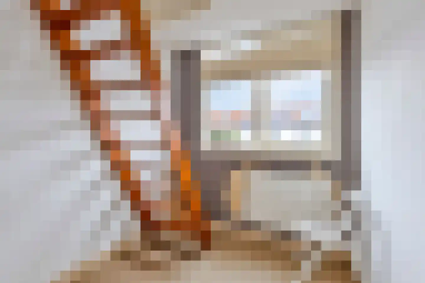 Ds. Jacobus Borstiusstraat 4 Zaandijk thumbnail 28