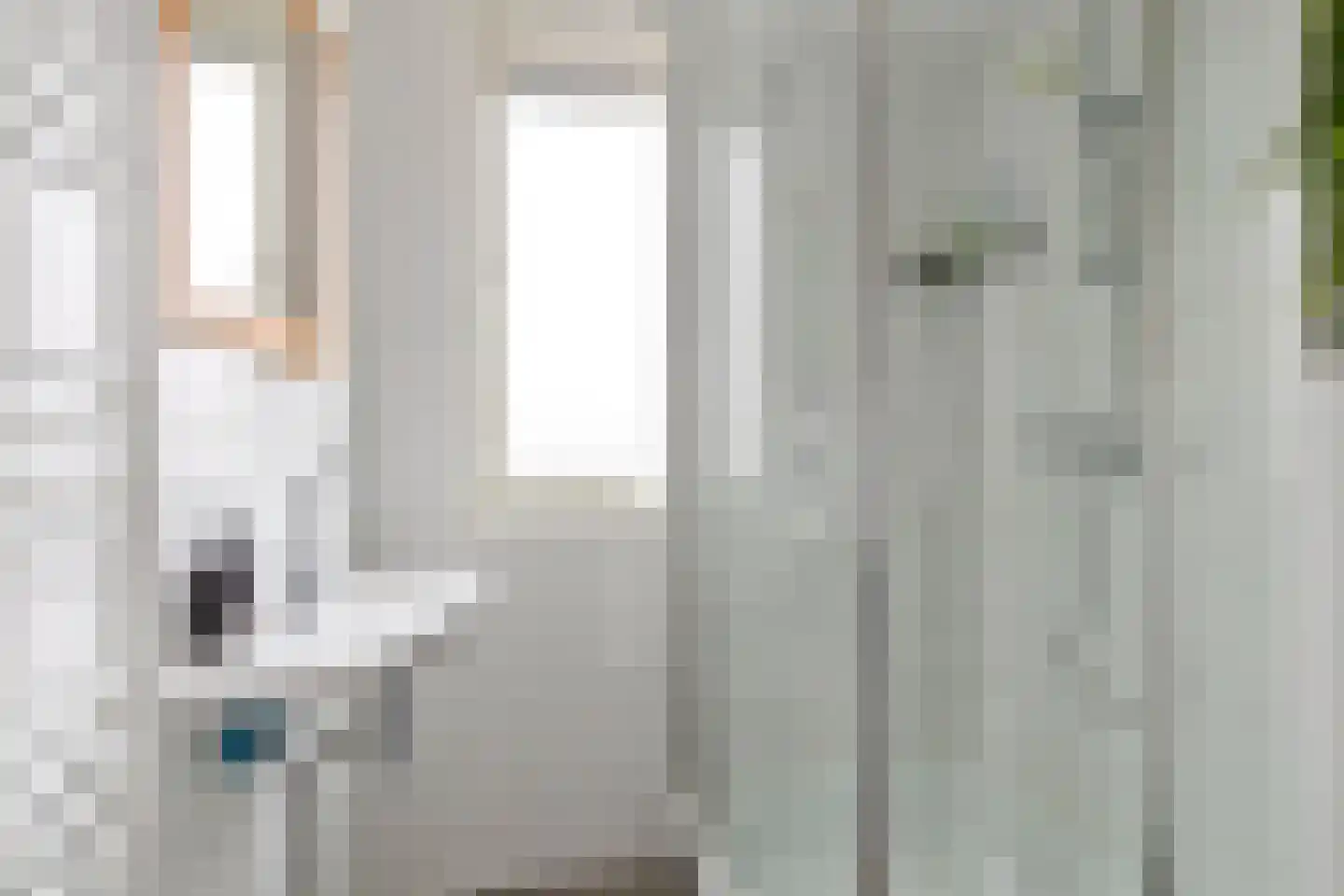 Ds. Jacobus Borstiusstraat 4 Zaandijk thumbnail 29
