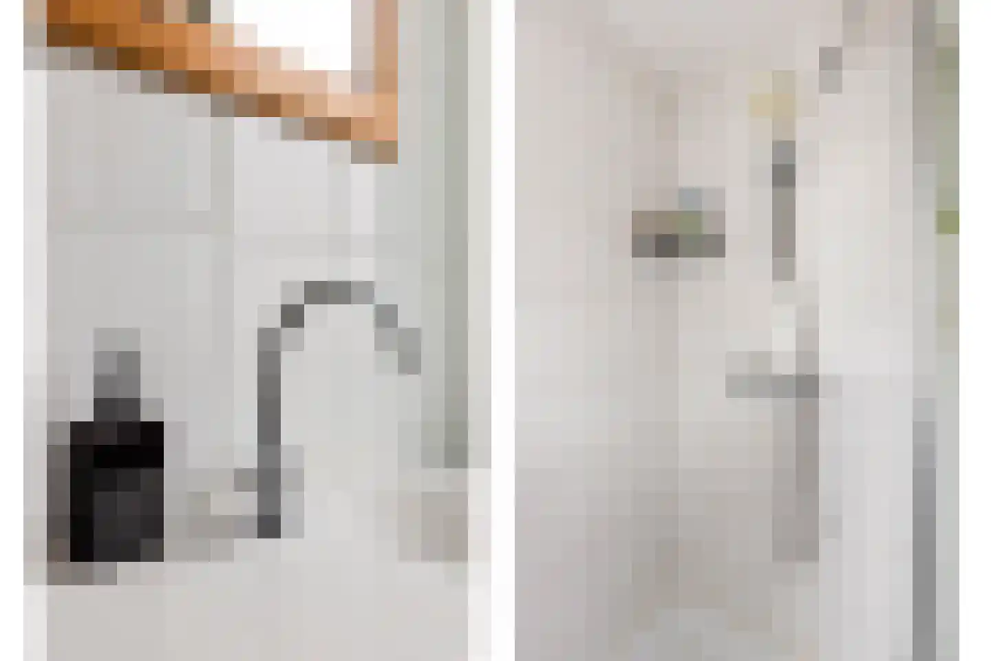 Ds. Jacobus Borstiusstraat 4 Zaandijk thumbnail 31