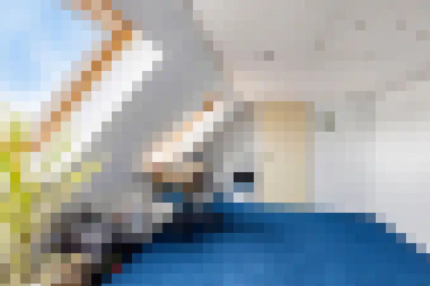 Ds. Jacobus Borstiusstraat 4 Zaandijk thumbnail 33