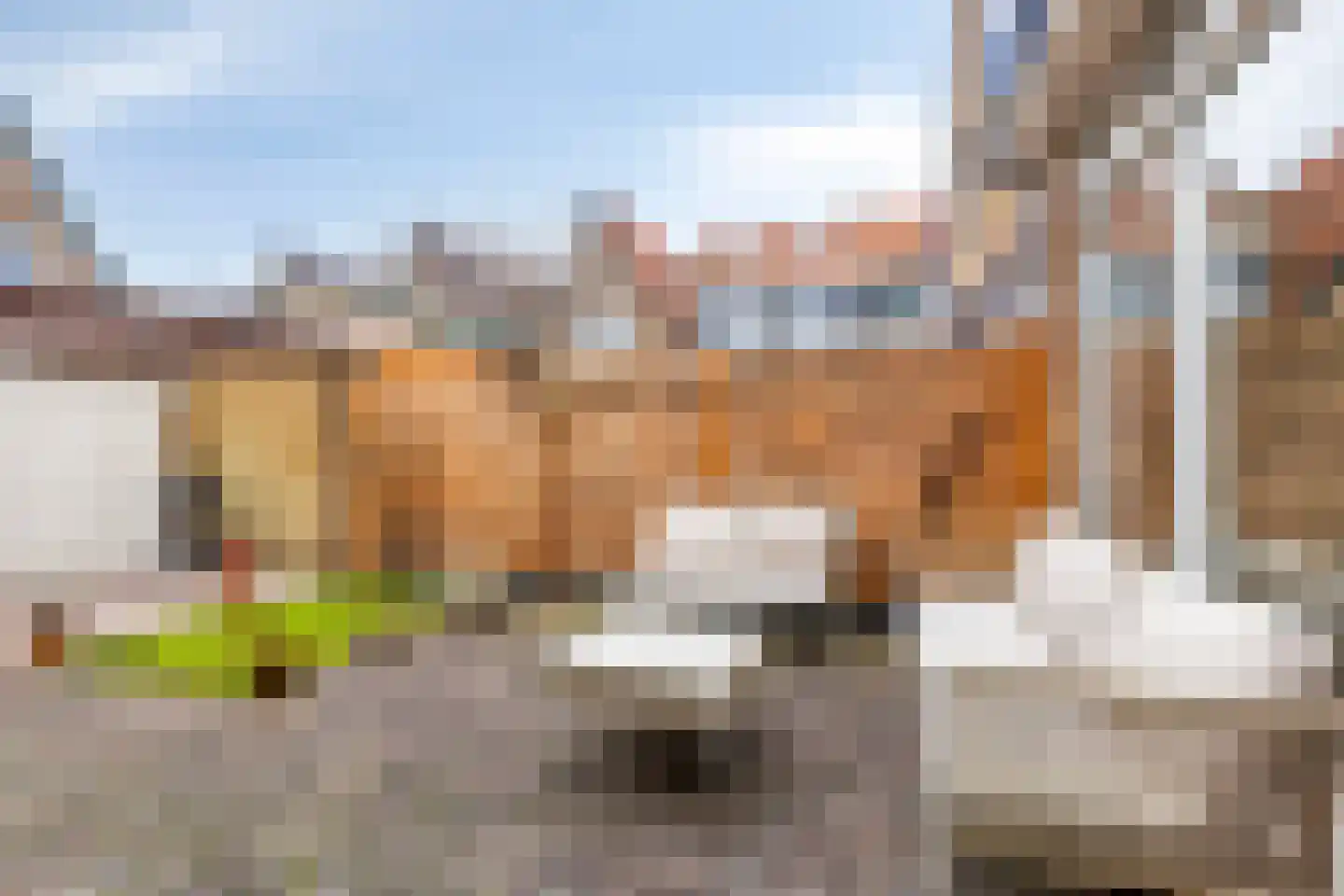 Ds. Jacobus Borstiusstraat 4 Zaandijk thumbnail 37