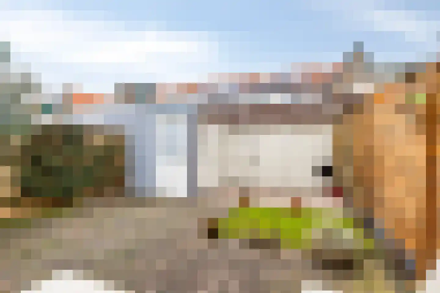 Ds. Jacobus Borstiusstraat 4 Zaandijk thumbnail 38