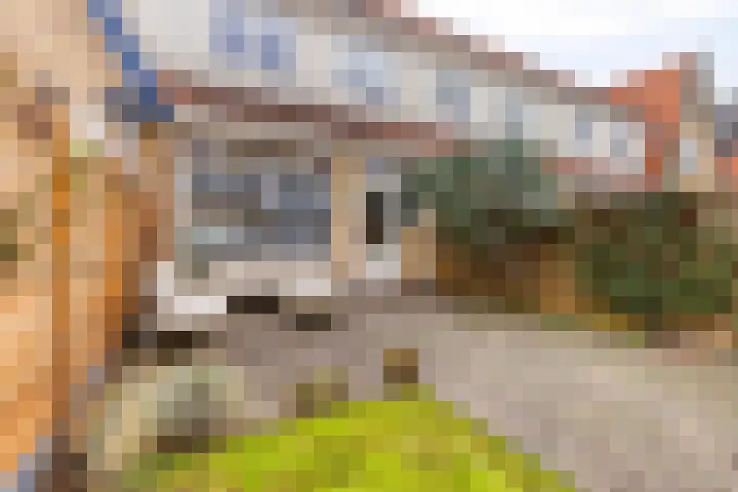 Ds. Jacobus Borstiusstraat 4 Zaandijk thumbnail 39
