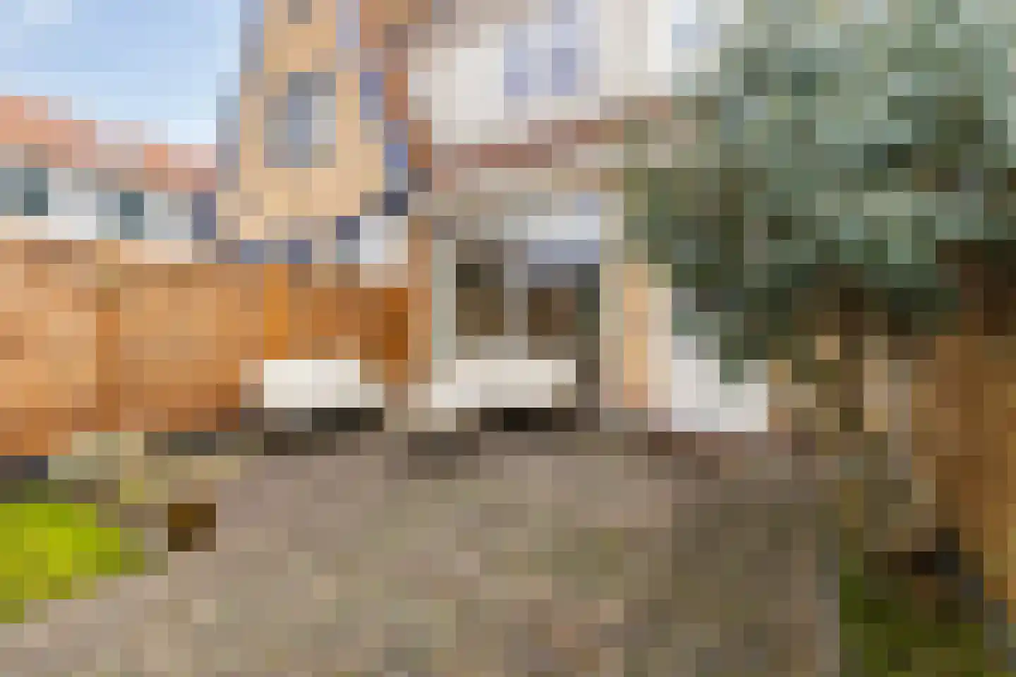 Ds. Jacobus Borstiusstraat 4 Zaandijk thumbnail 40