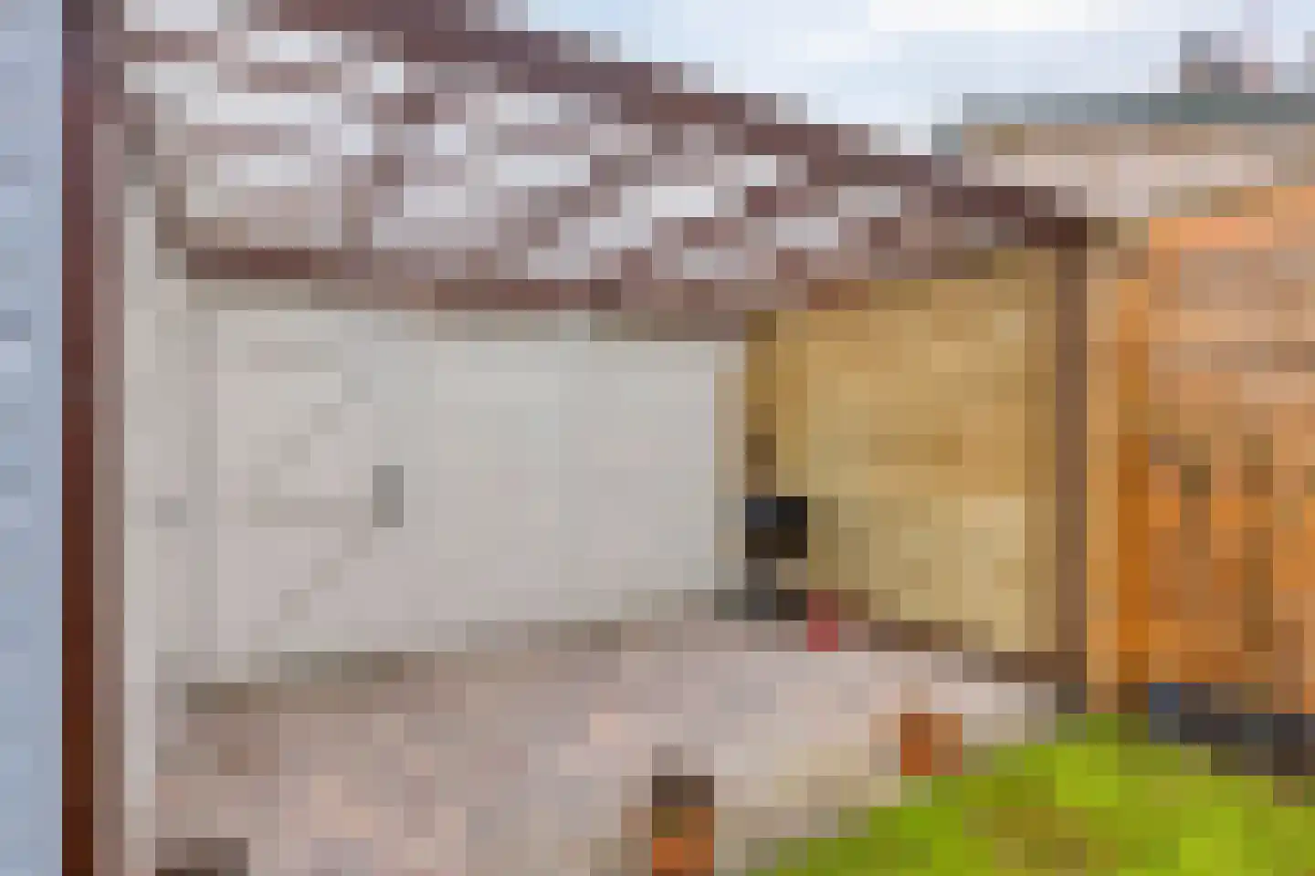 Ds. Jacobus Borstiusstraat 4 Zaandijk thumbnail 41