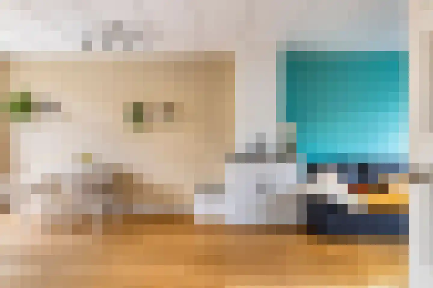 Ds. Jacobus Borstiusstraat 4 Zaandijk thumbnail 7