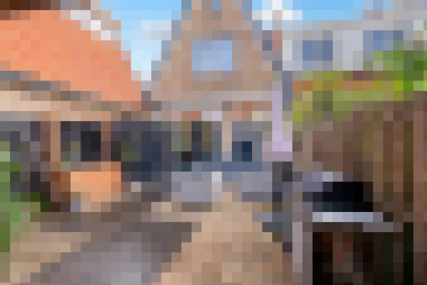 Ds. Jacobus Borstiusstraat 9 Zaandijk thumbnail 10