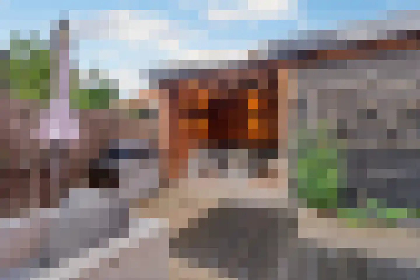 Ds. Jacobus Borstiusstraat 9 Zaandijk thumbnail 12