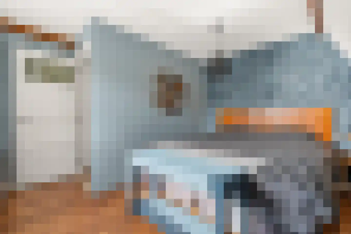 Ds. Jacobus Borstiusstraat 9 Zaandijk thumbnail 16