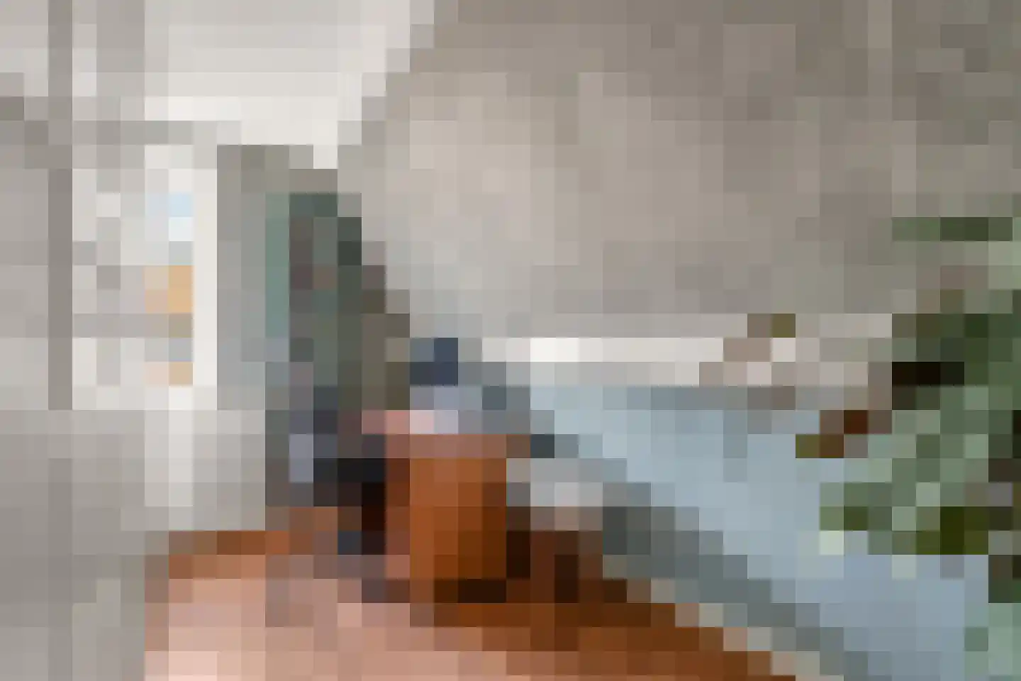 Ds. Jacobus Borstiusstraat 9 Zaandijk thumbnail 18