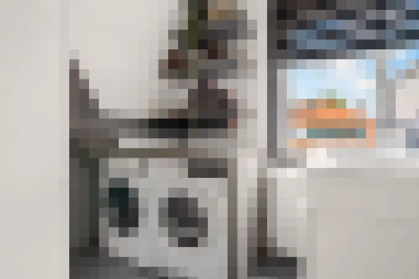 Ds. Jacobus Borstiusstraat 9 Zaandijk thumbnail 22