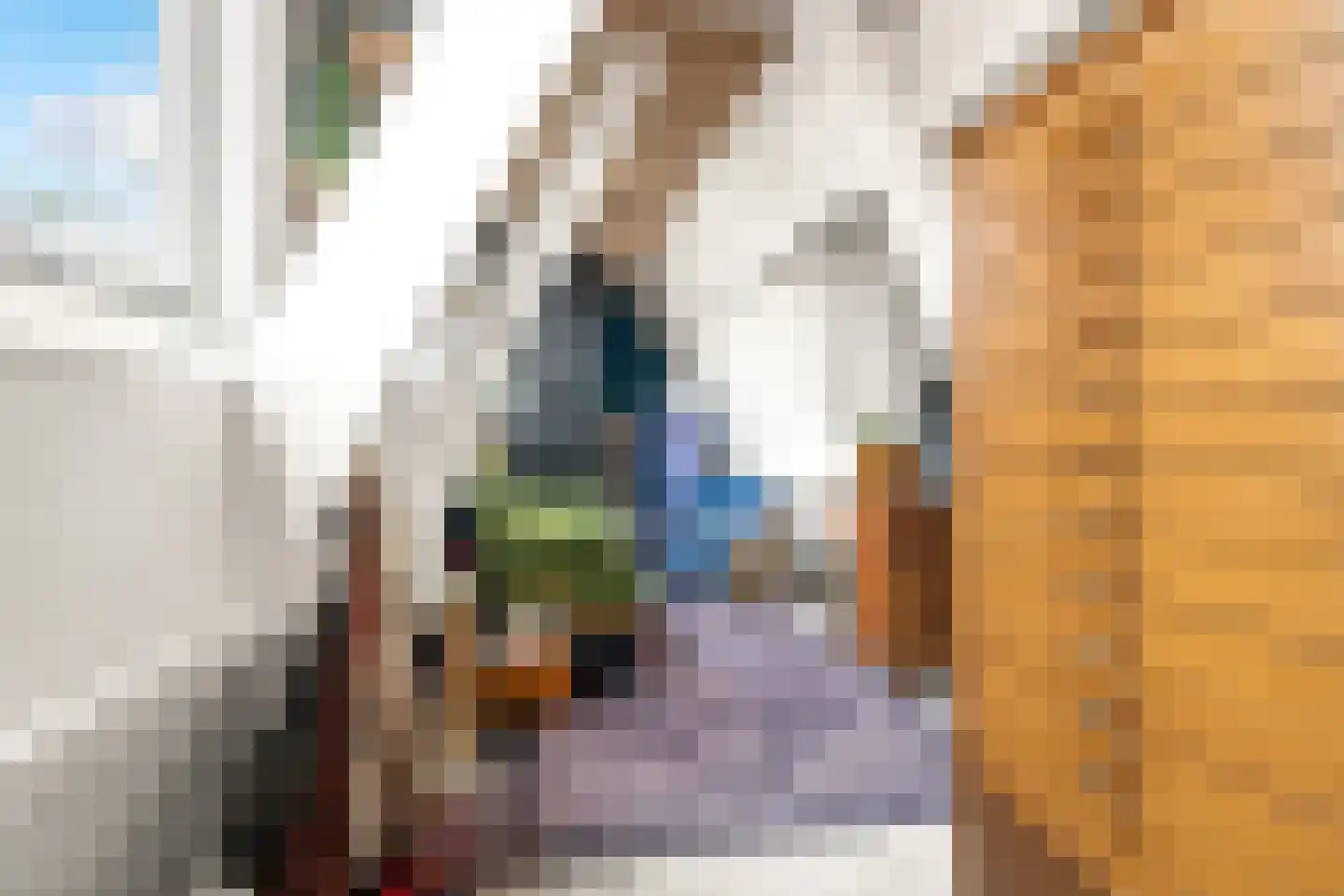 Ds. Jacobus Borstiusstraat 9 Zaandijk thumbnail 23