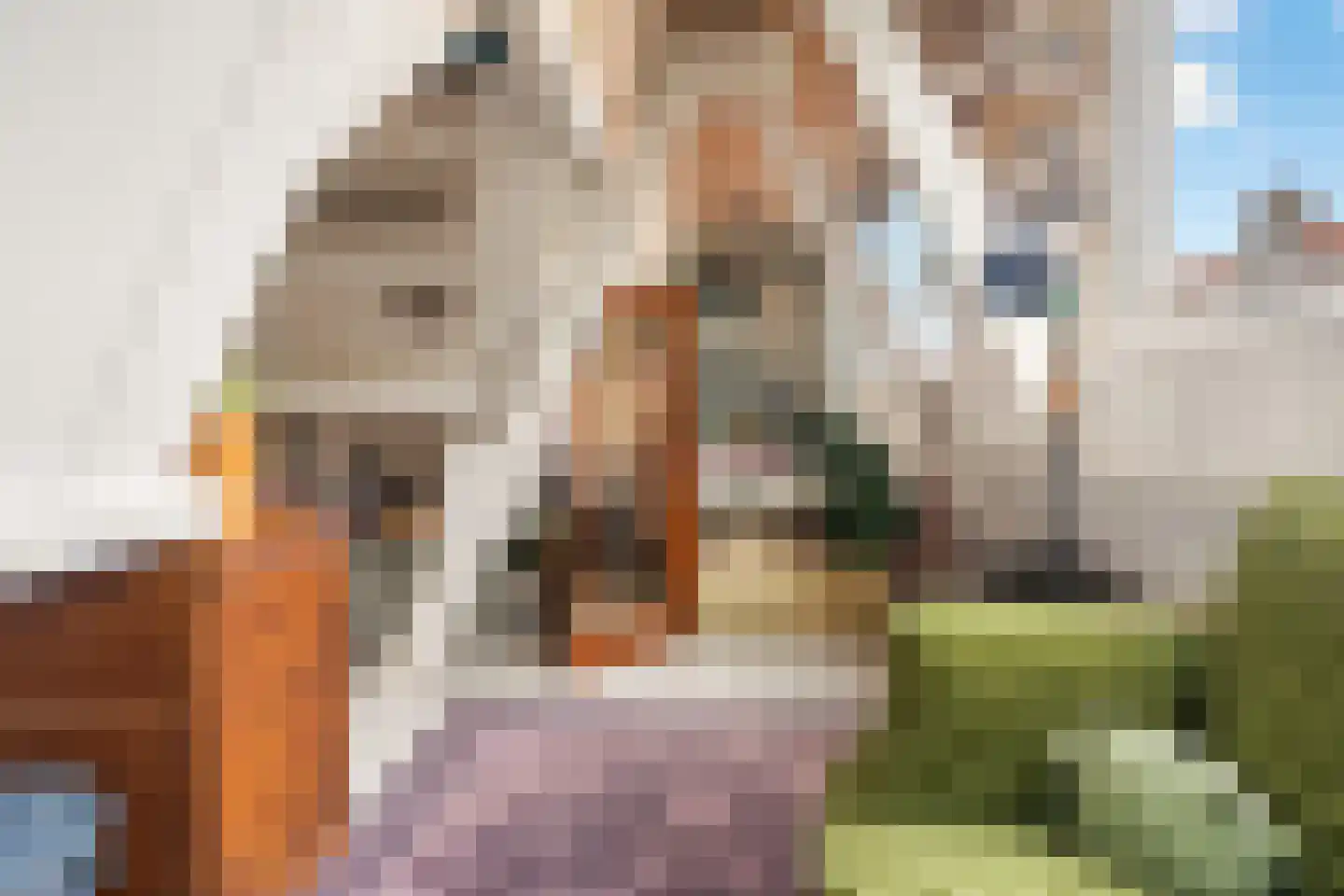Ds. Jacobus Borstiusstraat 9 Zaandijk thumbnail 25