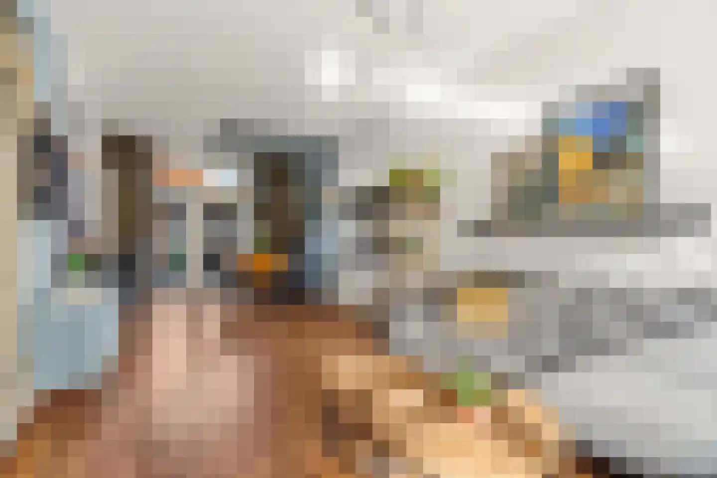 Ds. Jacobus Borstiusstraat 9 Zaandijk thumbnail 4