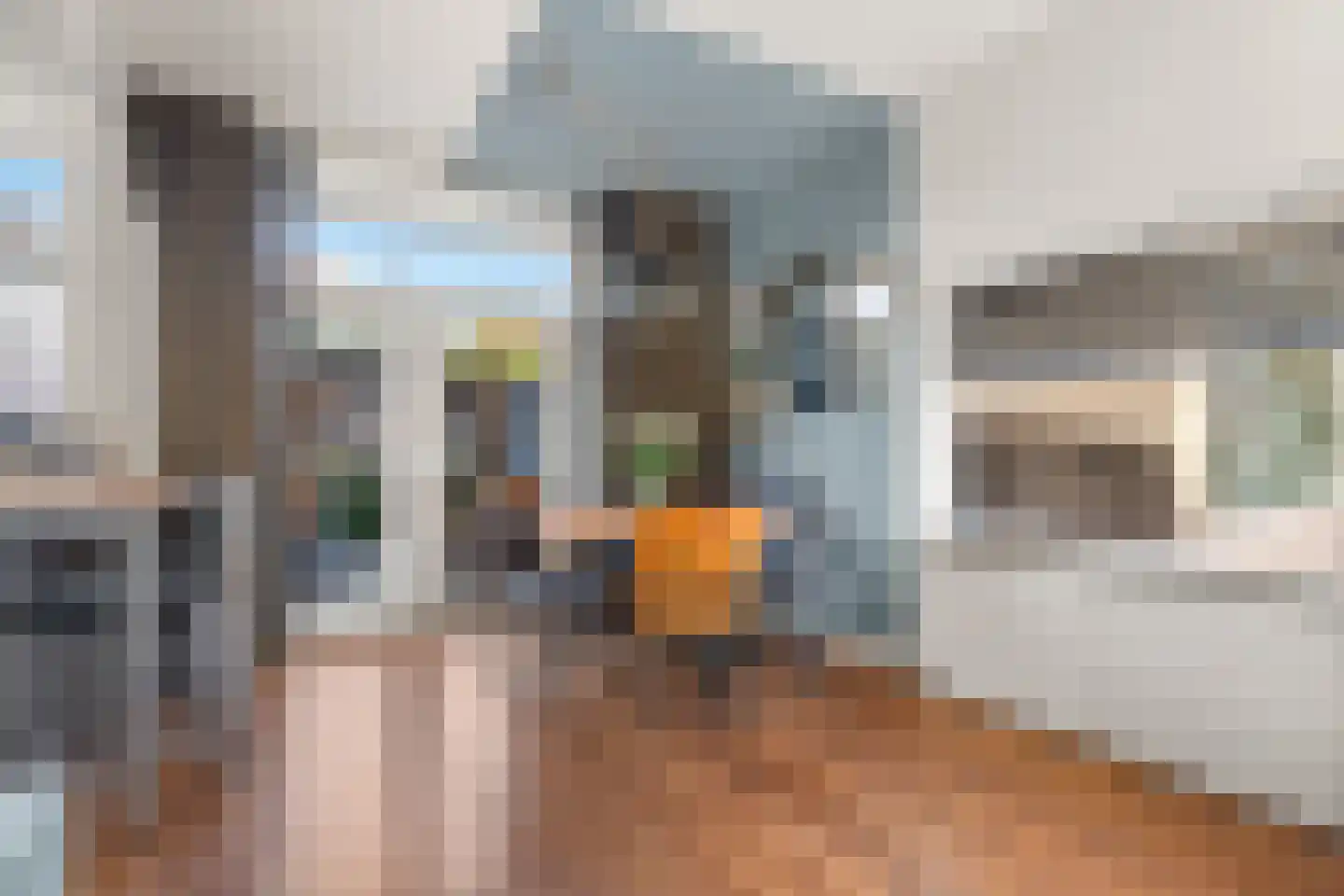 Ds. Jacobus Borstiusstraat 9 Zaandijk thumbnail 5