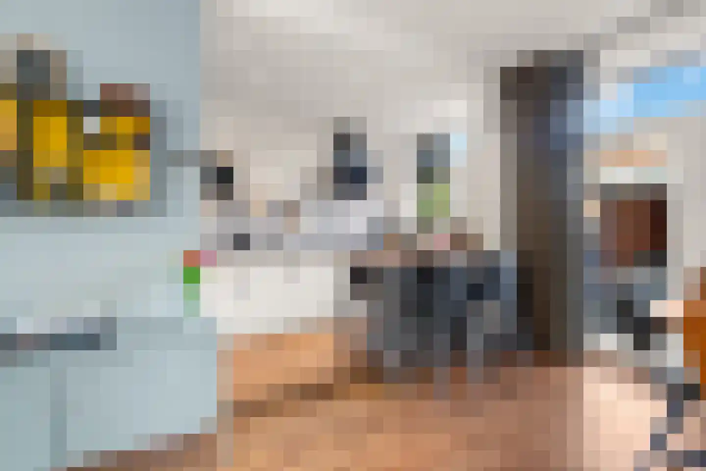 Ds. Jacobus Borstiusstraat 9 Zaandijk thumbnail 7