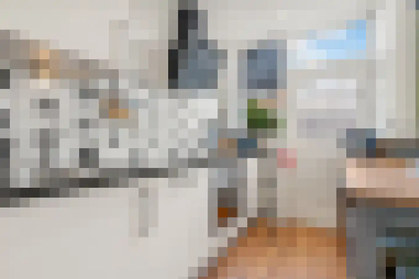 Ds. Jacobus Borstiusstraat 9 Zaandijk thumbnail 8