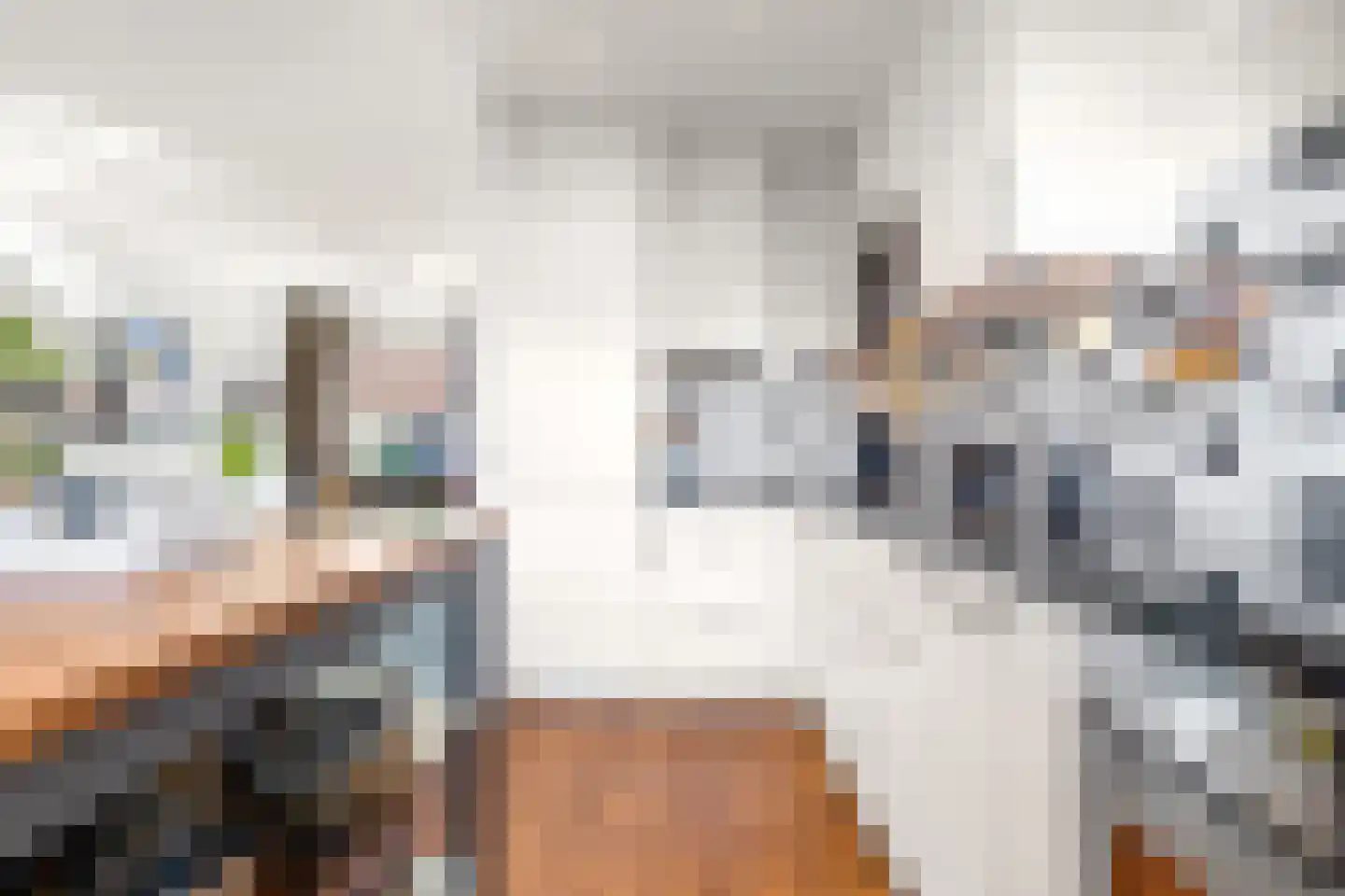 Ds. Jacobus Borstiusstraat 9 Zaandijk thumbnail 9