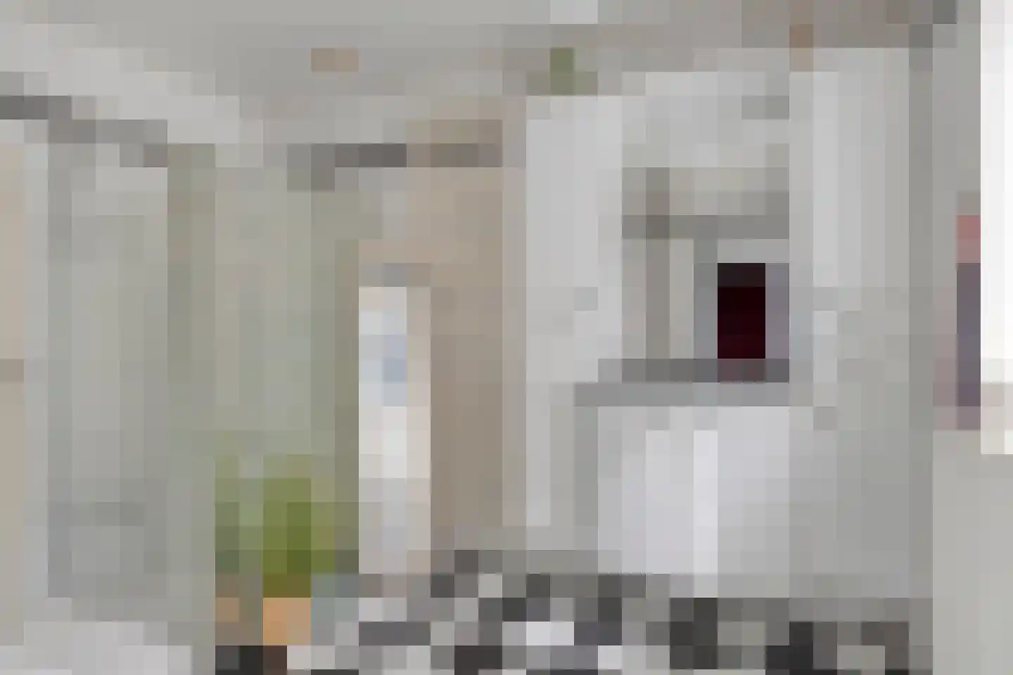 Ds. Jan Scharpstraat 10 Axel thumbnail 15