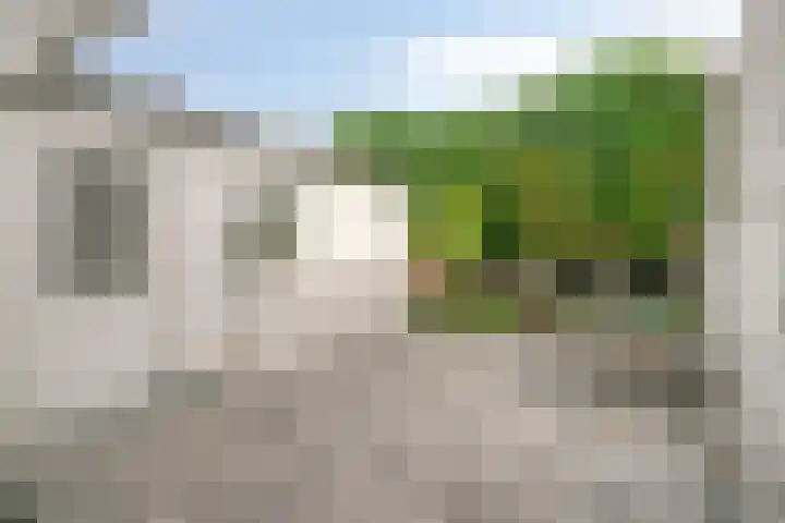 Ds. Jan Scharpstraat 4 Axel thumbnail 24
