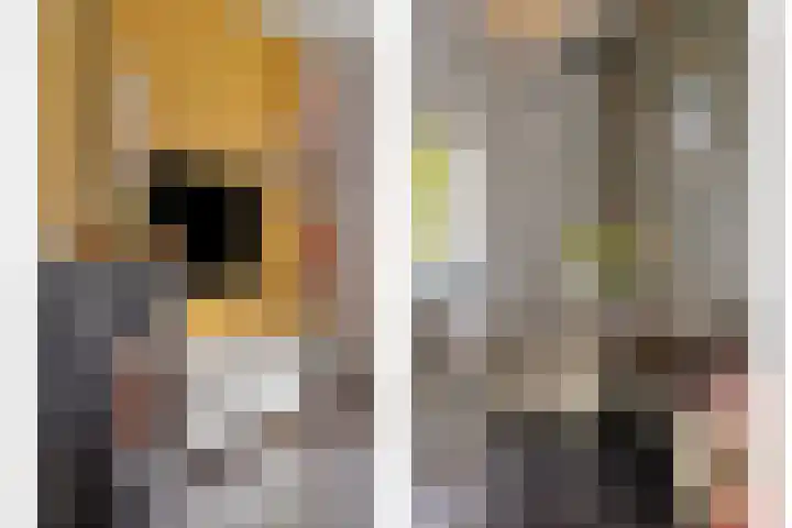 Ds. Jan Scharpstraat 4 Axel thumbnail 8