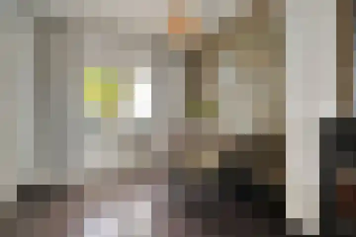 Ds. Jan Scharpstraat 4 Axel thumbnail 9