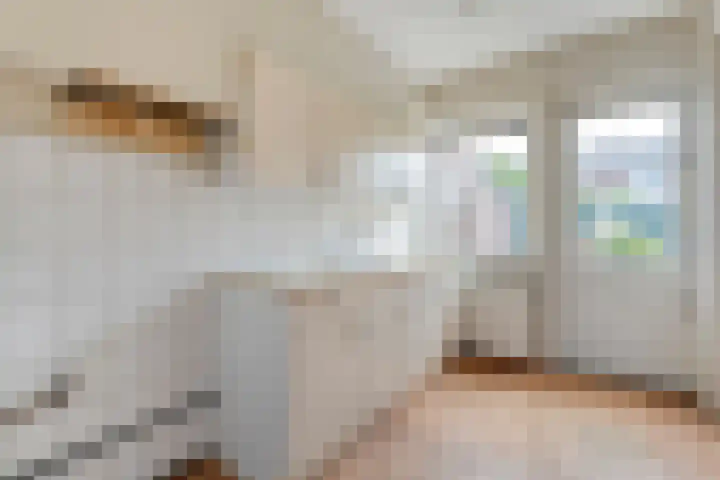 Ds. K. Terpstrastraat 12 Olst thumbnail 13