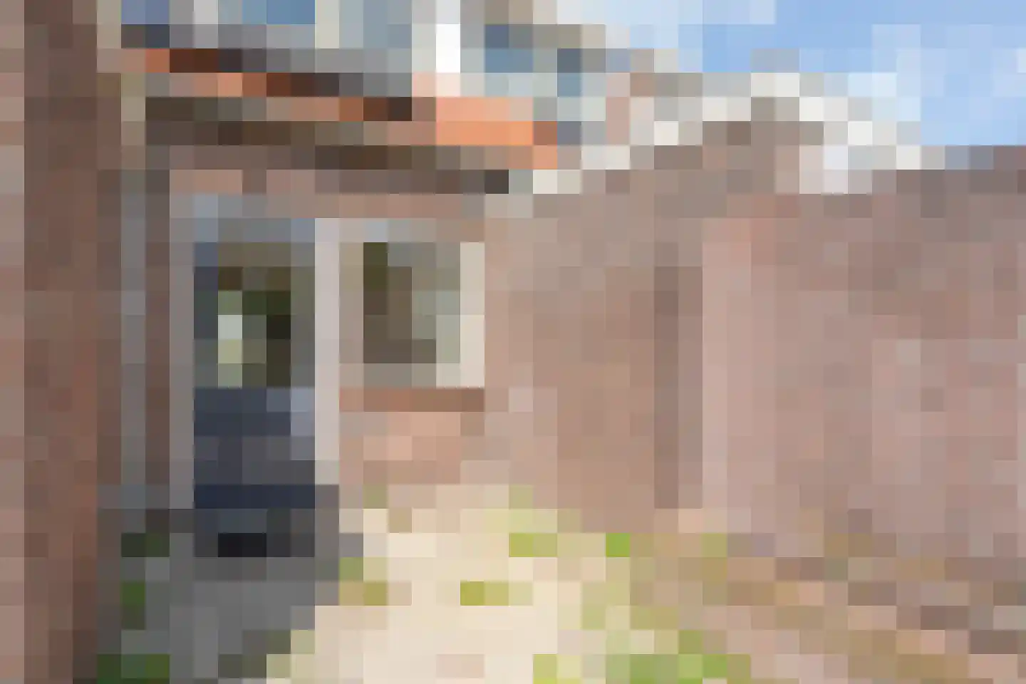 Ds. K. Terpstrastraat 12 Olst thumbnail 25