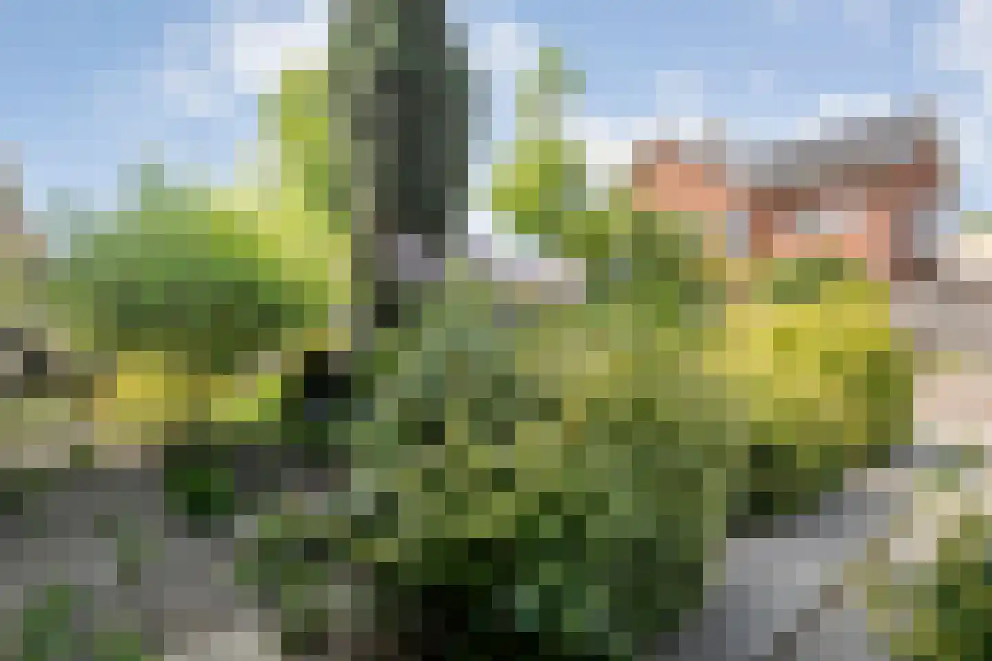 Ds. K. Terpstrastraat 12 Olst thumbnail 5