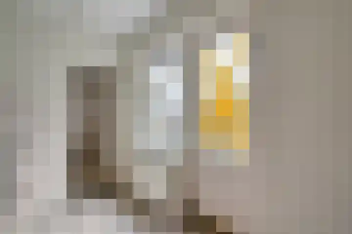 Ds. K. Terpstrastraat 8 Olst thumbnail 14
