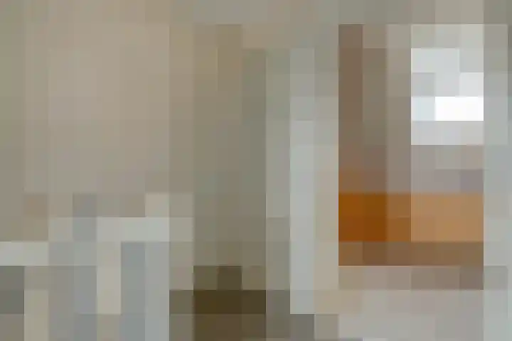 Ds. K. Terpstrastraat 8 Olst thumbnail 18