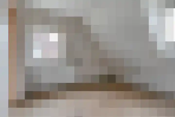 Ds. K. Terpstrastraat 8 Olst thumbnail 19