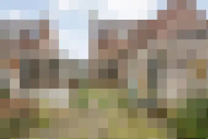 Ds. K. Terpstrastraat 8 Olst thumbnail 27