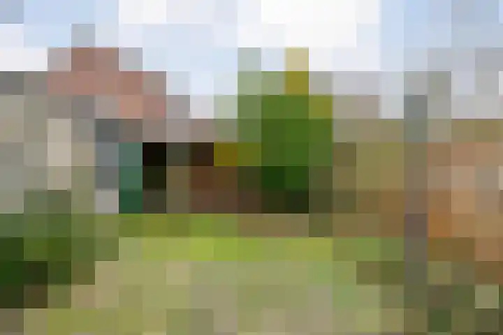 Ds. K. Terpstrastraat 8 Olst thumbnail 30