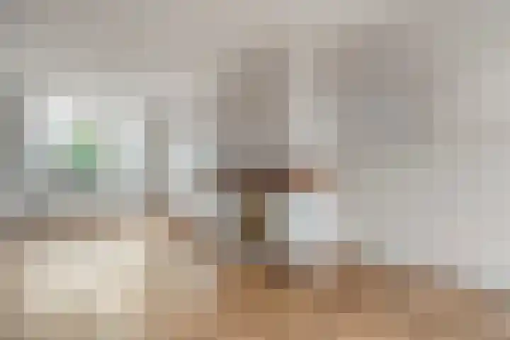 Ds. K. Terpstrastraat 8 Olst thumbnail 7