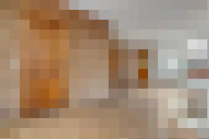 Ds. K. Terpstrastraat 8 Olst thumbnail 8