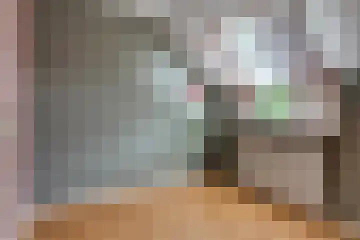 Ds Keppellaan 1 Amerongen thumbnail 11