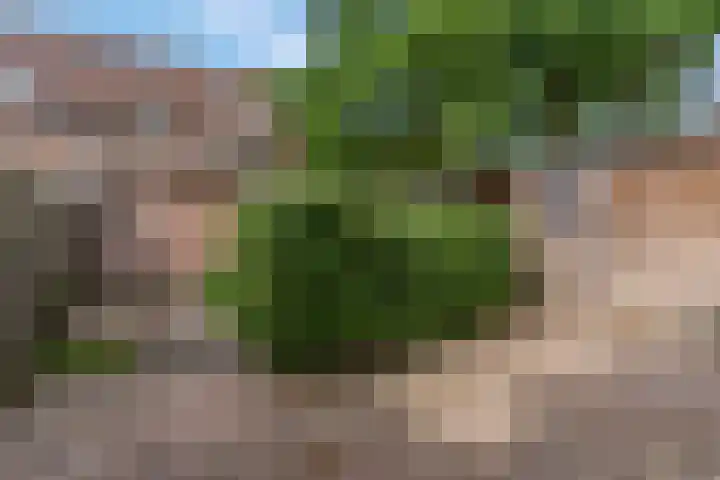Ds Keppellaan 1 Amerongen thumbnail 25