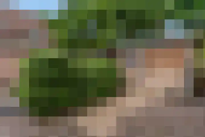 Ds Keppellaan 1 Amerongen thumbnail 26
