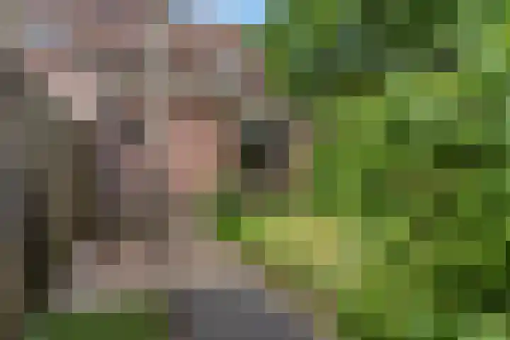 Ds Keppellaan 1 Amerongen thumbnail 27