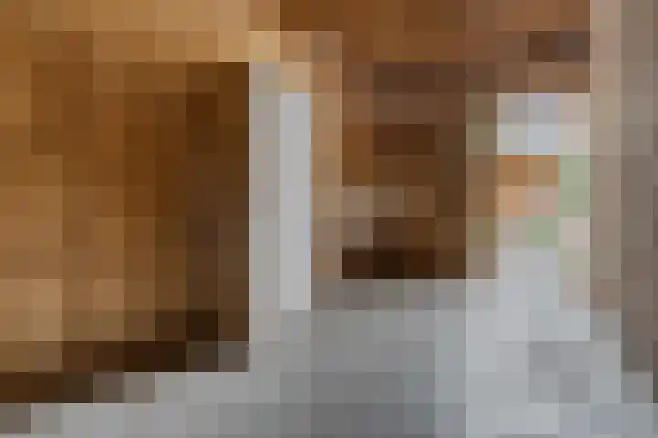 Ds Keppellaan 1 Amerongen thumbnail 31