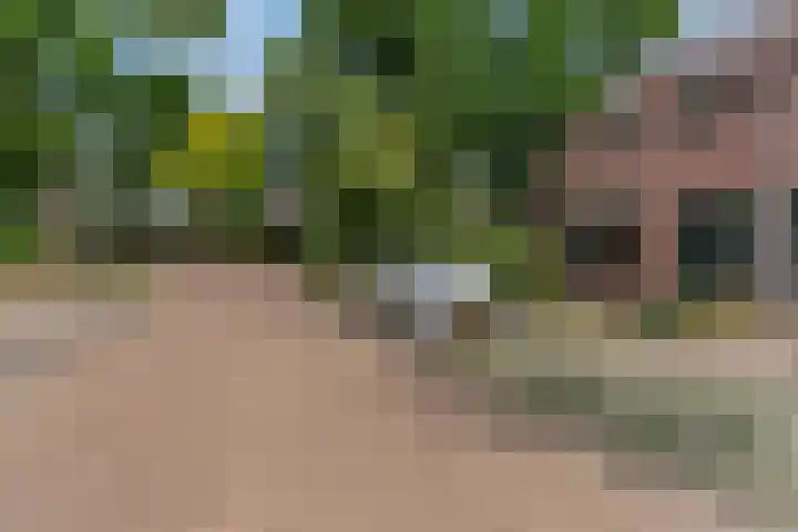 Ds Keppellaan 1 Amerongen thumbnail 32