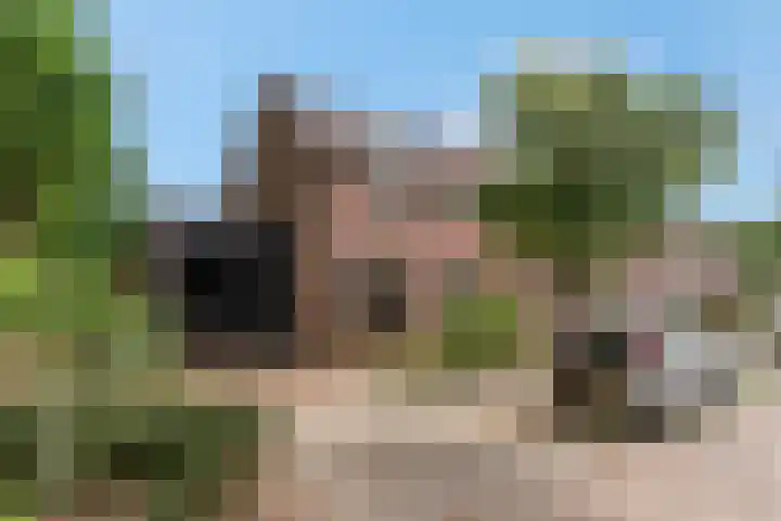 Ds Keppellaan 1 Amerongen thumbnail 34