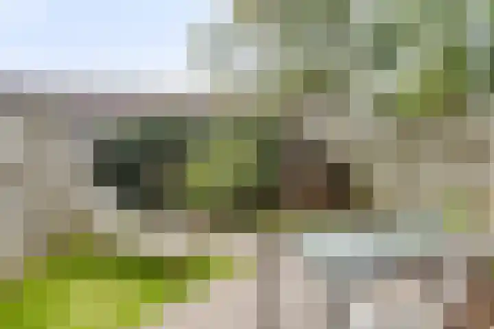Ds Keppellaan 35 Amerongen thumbnail 33
