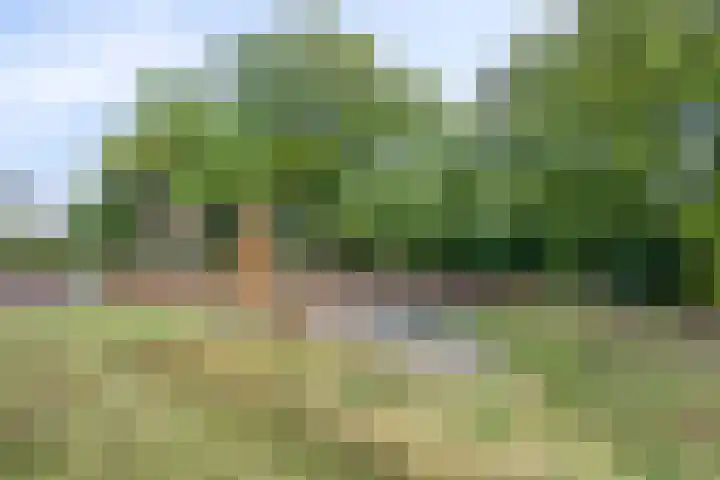 Ds Keppellaan 35 Amerongen thumbnail 34