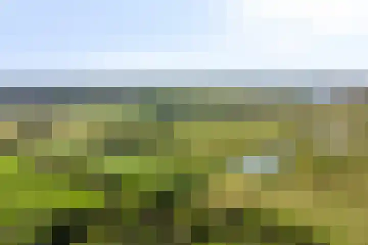 Ds Keppellaan 35 Amerongen thumbnail 41