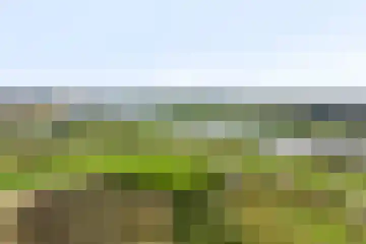 Ds Keppellaan 35 Amerongen thumbnail 42